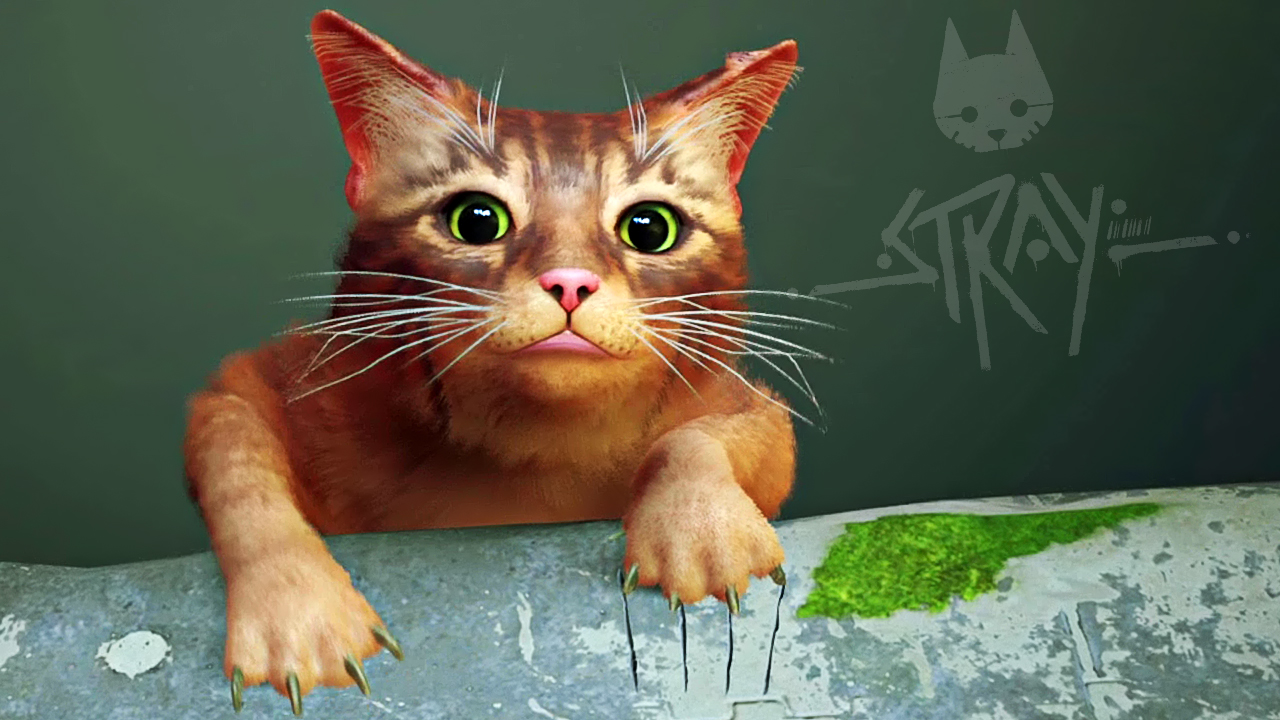 КИСКУ ЖАЛКО! ► Stray смотреть онлайн