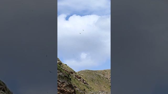 Дорога Махачкала - Гуниб - Гамсутль