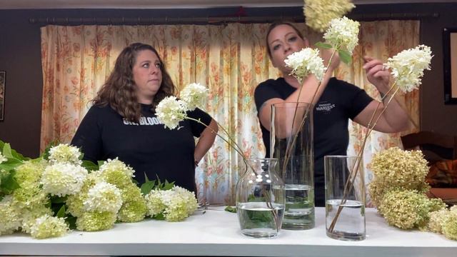Designing With an Idiot: Dry Your Own Hydrangea! смотреть онлайн