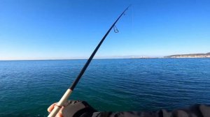 Поиск и лов саргана на пилькер и бомбарду. Черное море, осень.