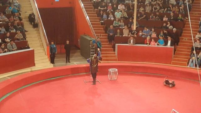 Казахский Государственный Цирк. Алматы. Цирк Юрия Никулина - 1 Minute Story NS смотреть онлайн