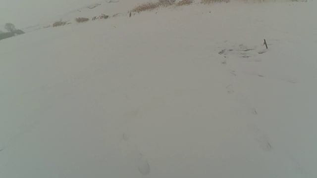 Ловля щуки на жерлицы. Щука на жерлицу зимой в январе смотреть онлайн