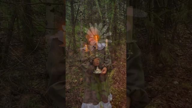 Лесная история ✨