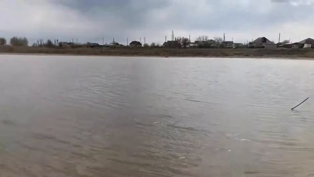 "Спасибо деду за детство и победу" Читает Хабарова Аксинья смотреть онлайн