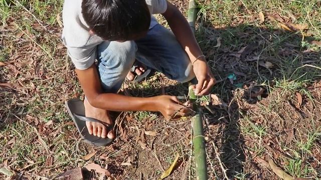 Unique Fish Trapping - Amazing Smart Boys Make Fish Trap With Brola | Cambo Trap Weird Fish смотреть онлайн