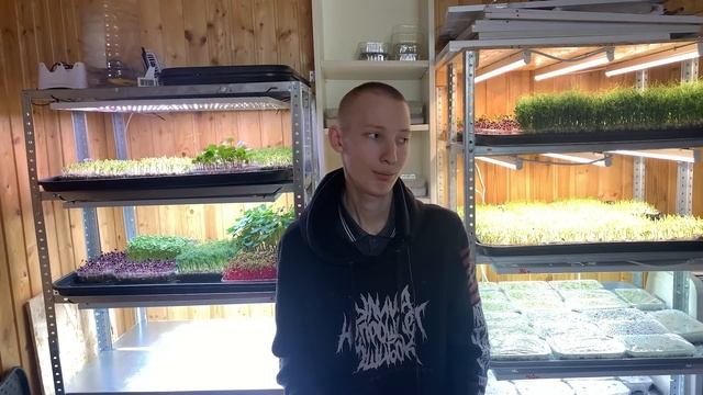 Открыть своё дело или пойти в найм? Личный пример! Бизнес Микрозелень! смотреть онлайн