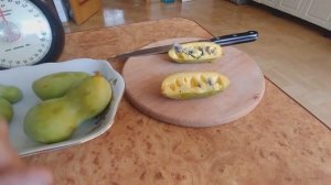 АЗИМИНА плоды созрели, дегустируем.