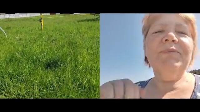 Навожу порядок на участке, кошу траву, убираю на птичьем дворе. У нас появились очередные утята. смотреть онлайн