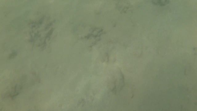 Playa Puinare - Bajo del Agua 5 смотреть онлайн