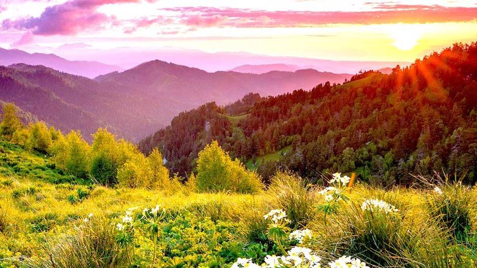 Yспокаивающая музыка для нервов лечебная музыка для сердца и сосудов, релакс, музыка для души смотреть онлайн