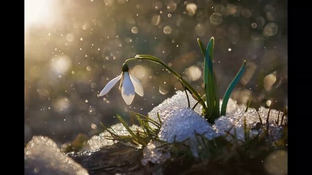 Ветераны школы №1519 участвуют в городском фестивале "Дороги, которые мы выбираем" смотреть онлайн