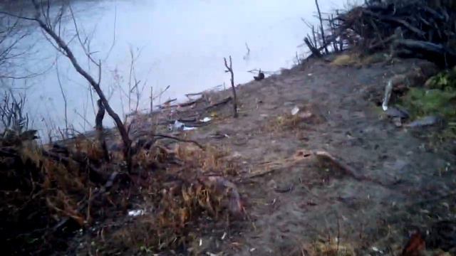 река Ишим осень и лёгкий первый снег!!!! Lite First The Snow смотреть онлайн