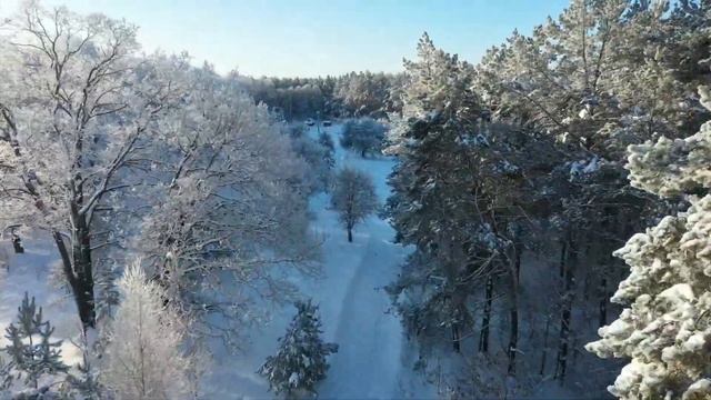 Поход на хутор. Очень красивый зимний день в Беларуси. Winter in Belarus смотреть онлайн