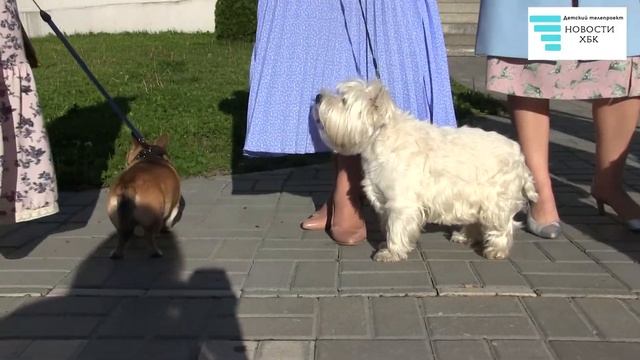 Городской фестиваль Модерн прошёл в "Усадьбе Асеевых" смотреть онлайн