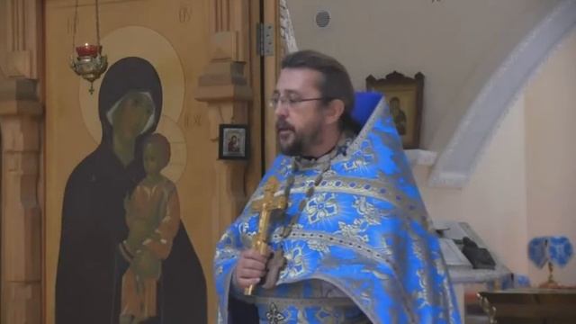 День Народного Единства.Священник Игорь Сильченков смотреть онлайн