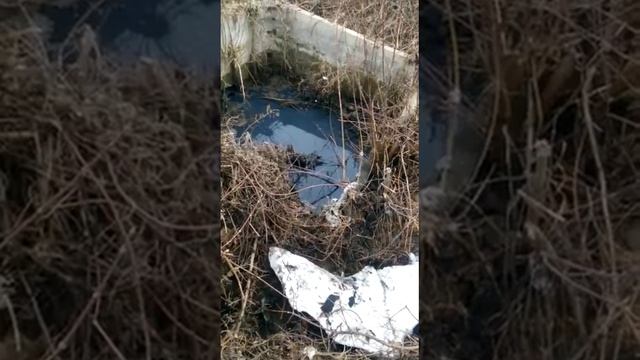 Шланговый завод в г. Стерлитамак угрожает экологии всего города смотреть онлайн