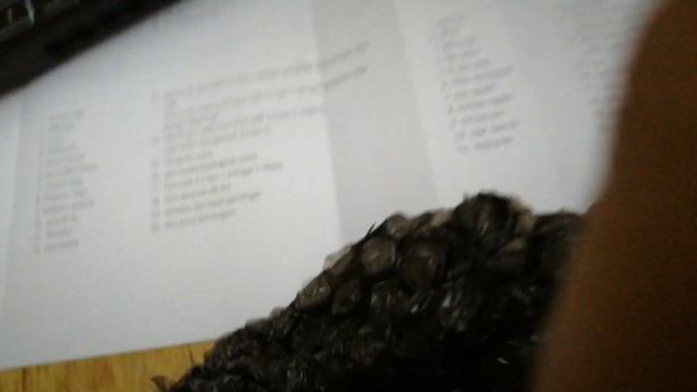 UNBOXING ACER NITRO 5 AN515-57 Intel i5 11400h 16 GB 3200MHz RTX 3050 4 GB 512GB (I added 8 GB extr смотреть онлайн