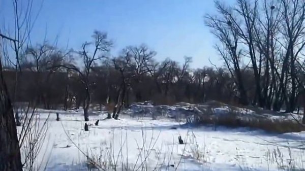 Барано-Оренбургское, гарнизон, декабрь 2014 года