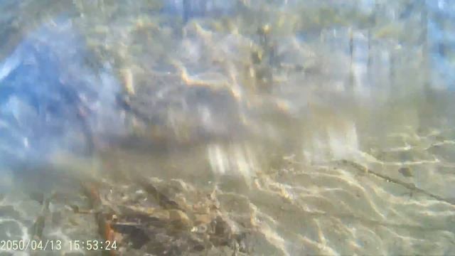 Экшн камера