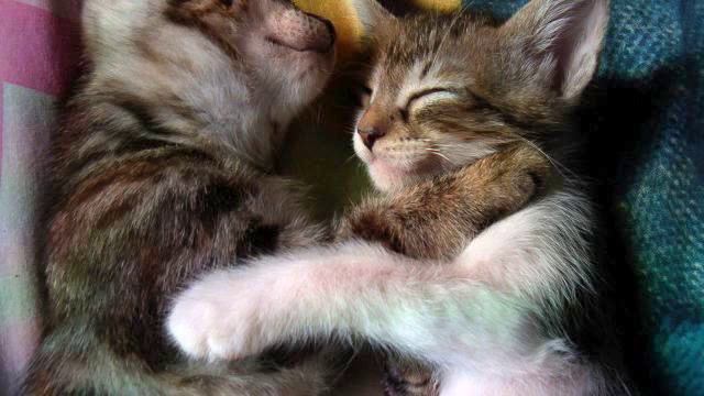 Музыка нового времени. Реальный хит! Ничего не напоми... смотреть онлайн
