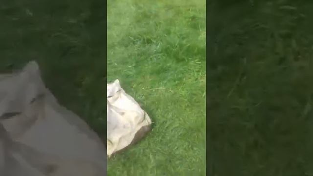 Будет кто чай утром смотреть онлайн