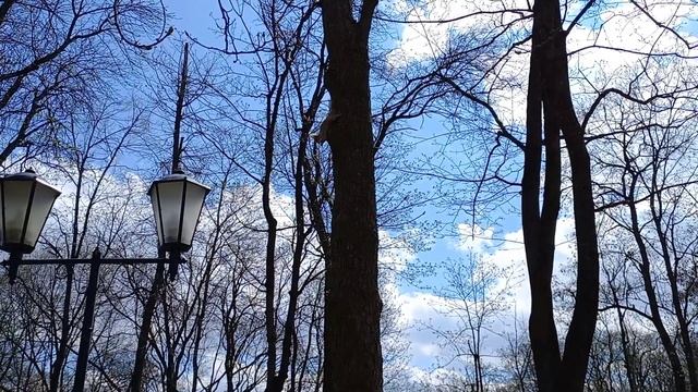 Беларусь Полынь-Трава Гомель смотреть онлайн