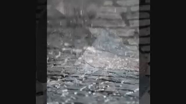 Rain Rain Rain Simon Butterfly