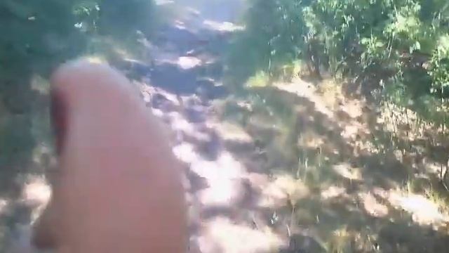 Я в Тавде 2 смотреть онлайн