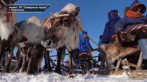 ПРАЗДНИК ДЛЯ ОЛЕНЕВОДОВ