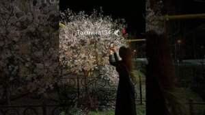 новая цыганская песня 2023? молодой цыган зашёл в ресторан )??