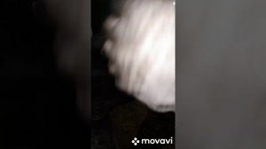 замена ремня навесного оборудования  митсубиси  asx