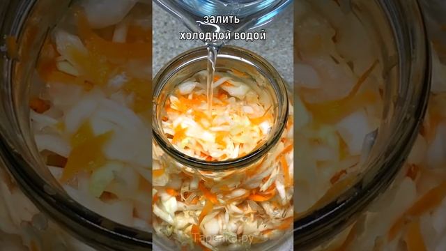 Вы больше НЕ будете КВАСИТЬ по другому! Самый простой и вкусный рецепт КАПУСТЫ! Квашеная капуста смотреть онлайн