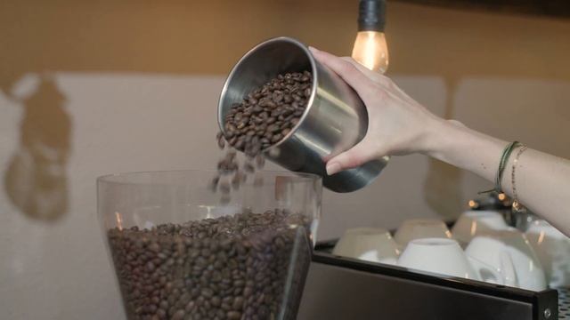 Apocalypse Coffee Roasters! смотреть онлайн