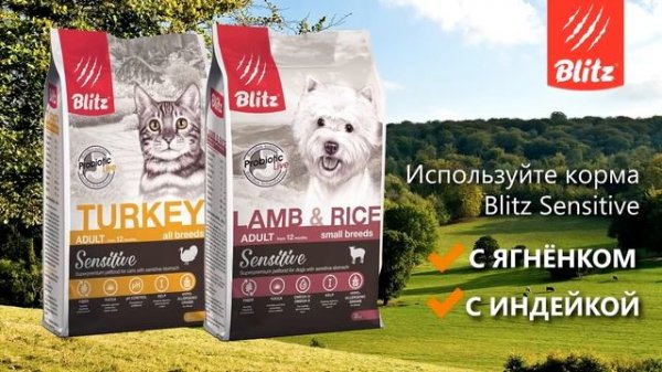 Корма Blitz Sensitive для собак и кошек