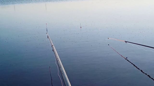 Рыбалка с лодки на попловок смотреть онлайн