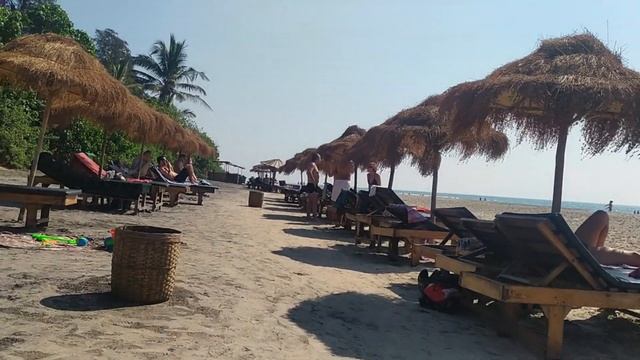 Goa Hidden Beaches || Ashwem Beach || Morjim Beach смотреть онлайн
