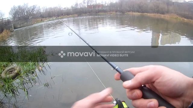 РЫБАЛКА НА РЕКЕ СХОДНЯ! смотреть онлайн