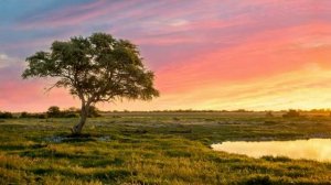 МОЩНАЯ МЕДИТАЦИЯ ДЛЯ ЖЕНЩИНЫ: принятие себя, любовь к себе и уверенность уже после 1 прослушивания