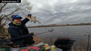 Рыбалка на Волге ! наконец то мы их дождались !!! Лещ на фидер в апреле г. Углич .
