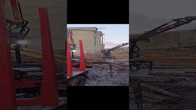 VID20221117145824.mp4