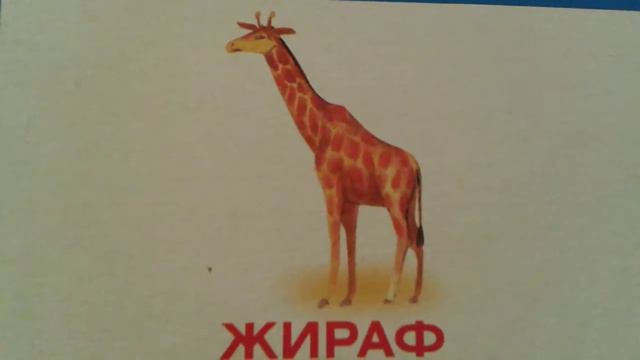 Животные Африки смотреть онлайн