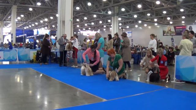 00005 Евразия 2018 смотреть онлайн