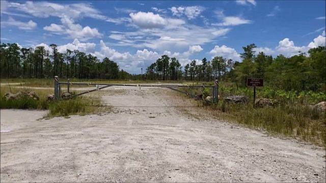 Big Cypress Swamp @ Turner River Road/Alligator Alley. смотреть онлайн