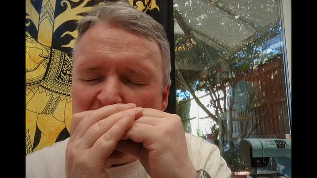 Lilting Banshee jig -harmonica смотреть онлайн