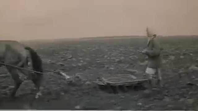 Василий и Василиса смотреть онлайн