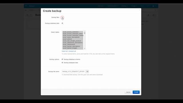 1.3. Getting Started — Backup and Restore in the CS-Cart Web Store Solution смотреть онлайн
