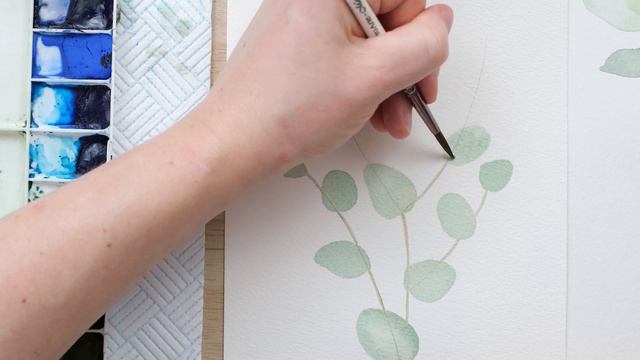 How To Paint Watercolour Eucalyptus