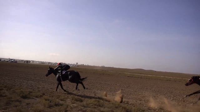 Полное видео - 2 ЗАЕЗД конных состязаний в Кунбатаре 05.11.2023! #Аскор #Скачки #Кунбатар смотреть онлайн
