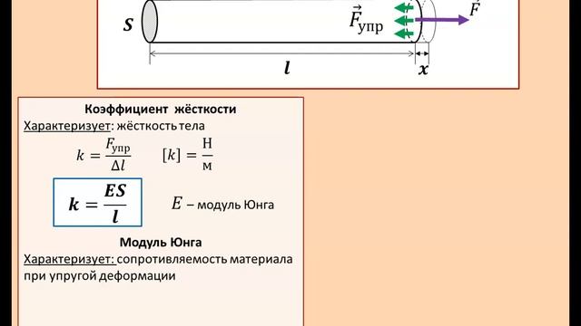 Рассмотрение темы: "Коэффициент жёсткости. Модуль Юнга" смотреть онлайн