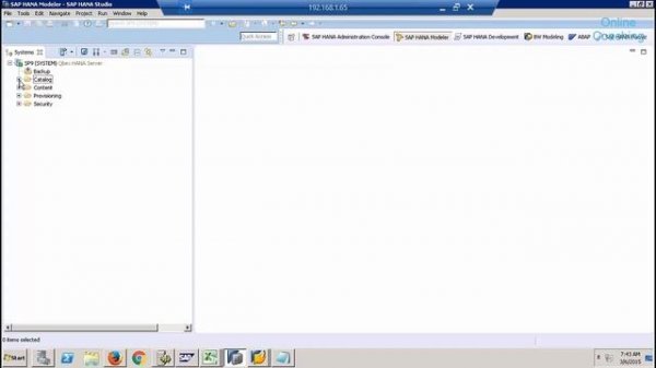 SAP BW On Hana Perspective Tutorial | SAP HANA BW Perspective -4